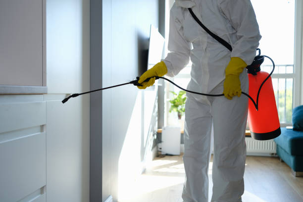 Best Professional Mold Removal  in Bristol, IN